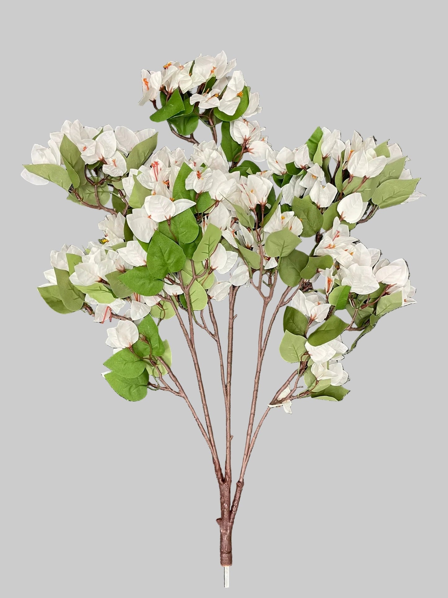 SY20034 BOUGAINVILLEA TREE BRANCH  30"