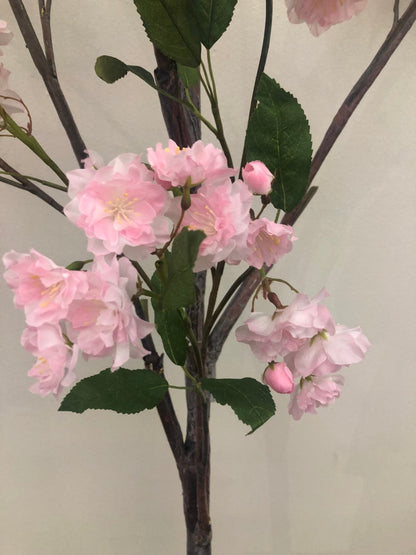 TR10401 CHERRY BLOSSOM TREE (NO POT),8'-1P