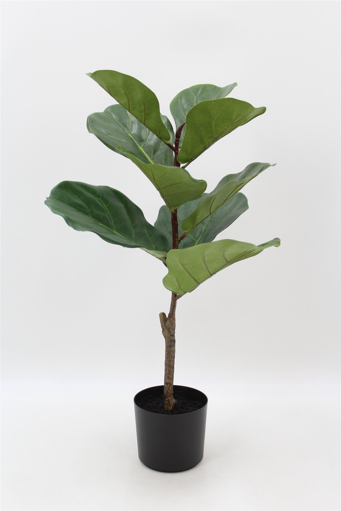 TR10731 FIDDLE LVS TREE,2'-1/6P