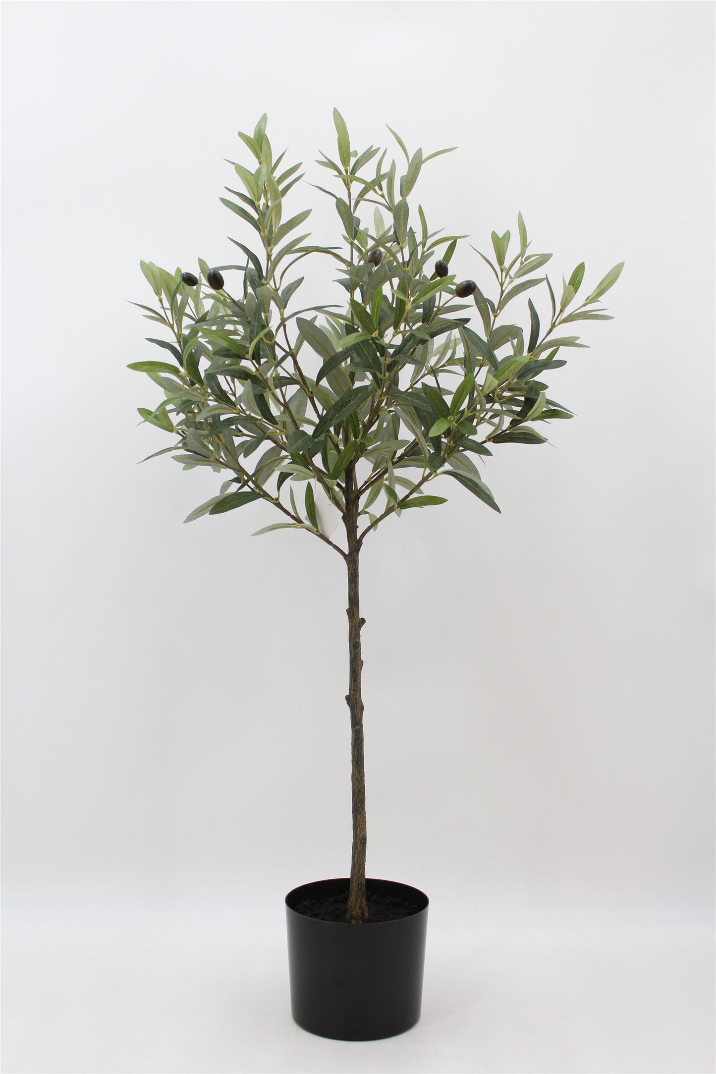TR10742 OLIVE TREE,3'-4P
