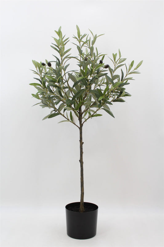 TR10742 OLIVE TREE,3'-4P