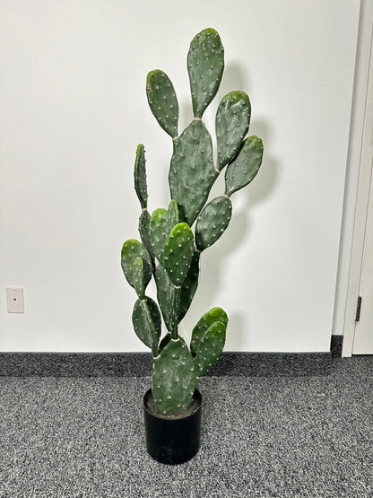 TR10762 POTTED PEAR CACTUS,4'
