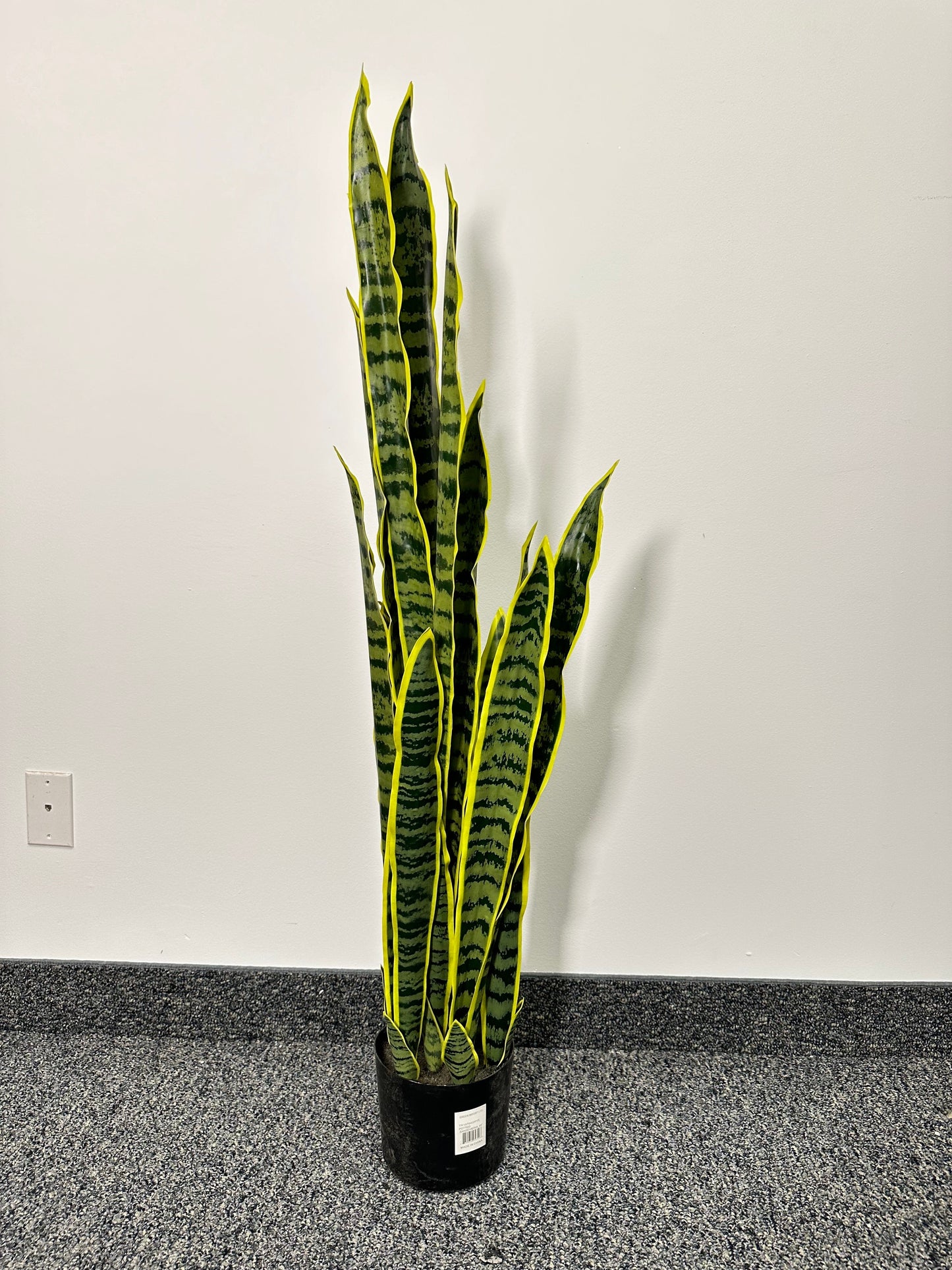 TR10764 POTTED SANSEVIERIA,45"