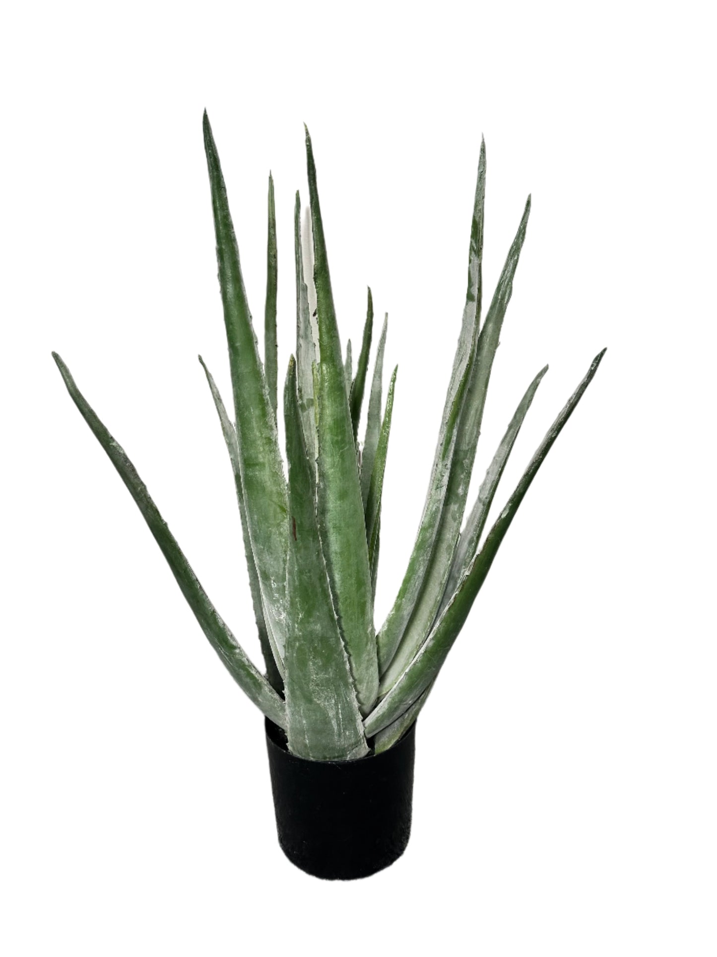 TR10766 POTTED ALOEx19L,33"