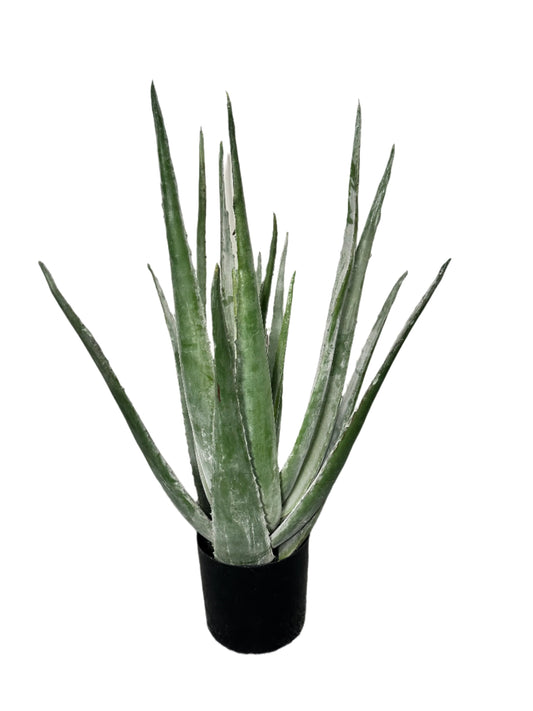 TR10766 POTTED ALOEx19L,33"
