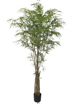 TR10816 BAMBOO TREE w/TWISTED NATURAL TRUNK,80"