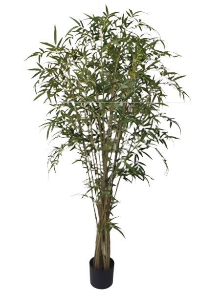 TR10817 BAMBOO TREE w/TWISTED NATURAL TRUNK,6'