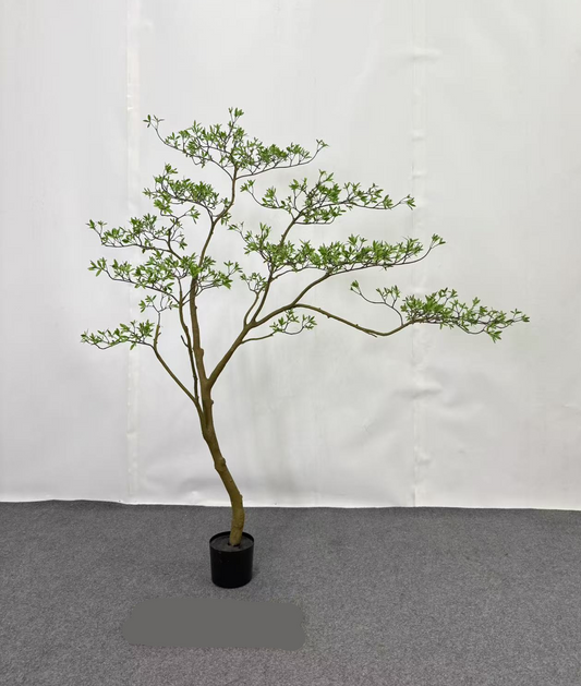 TR10911 BOUGAINVILLEA LEAF TREE  6'