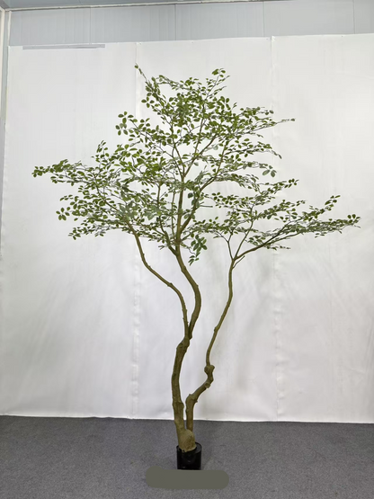 TR10912 CREPE MYRTLE LEAF TREE  10'