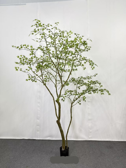 TR10915 MINI MAPLE LEAF TREE  9'
