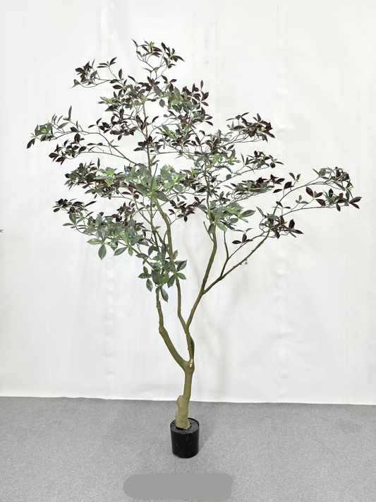 TR10917 CAPENSIA TREE  8'