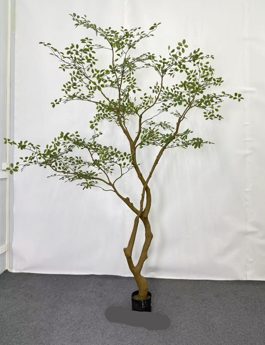 TR10918 CREPE MYRTLE LEAF TREE  8.5'