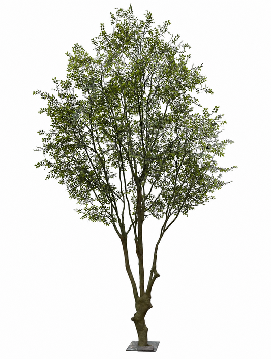 TR10919 ROSE LEAF TREE  19.5'