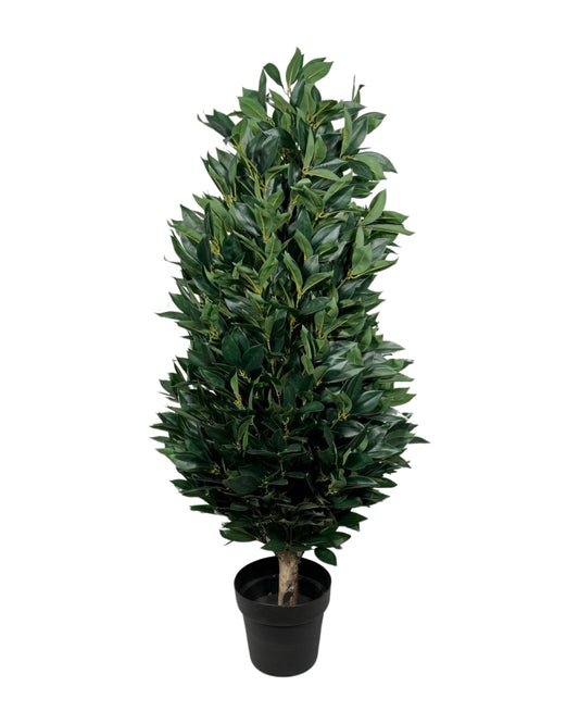 UVT1001 BAY LEAF CONE TRx1680L(UV),4'-2P