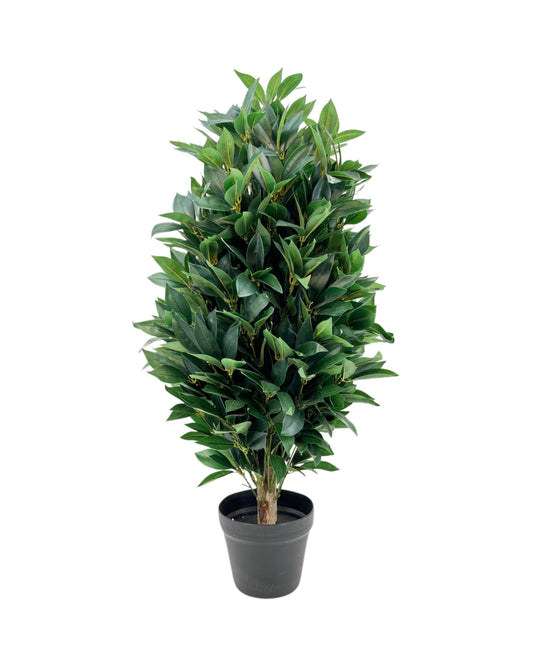 UVT1002 BAY LEAF CONE TRx1440L(UV),3'-2P