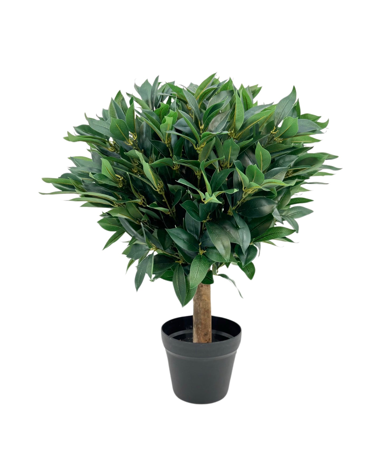 UVT1004 BAY LEAF TOPIARYx900L(UV),D20x26inH