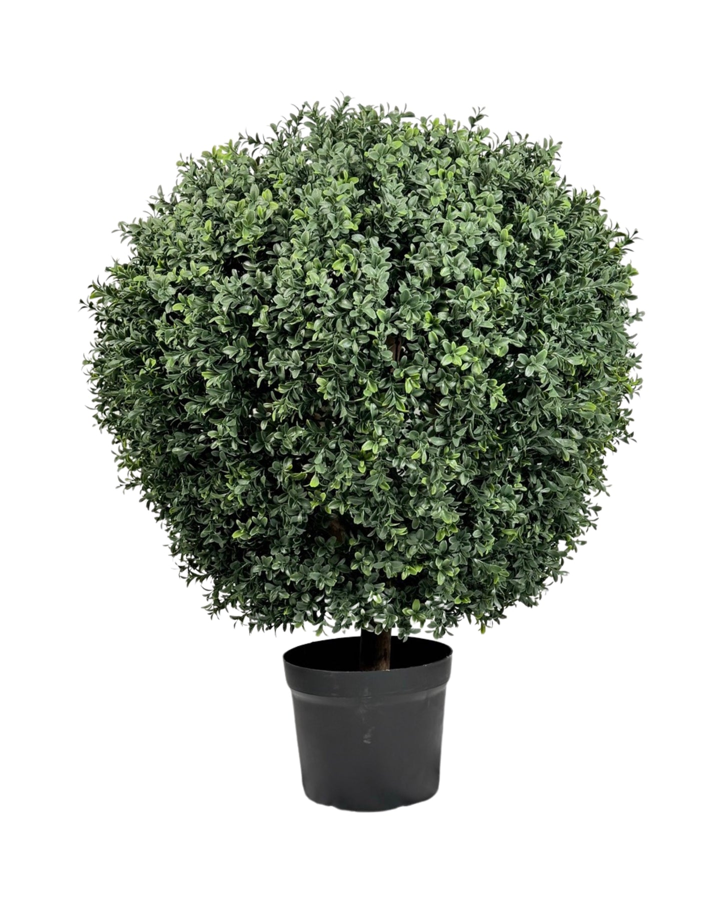 UVT1012 BOXWOOD TOPIARYx1(UV),D31.5x36inH