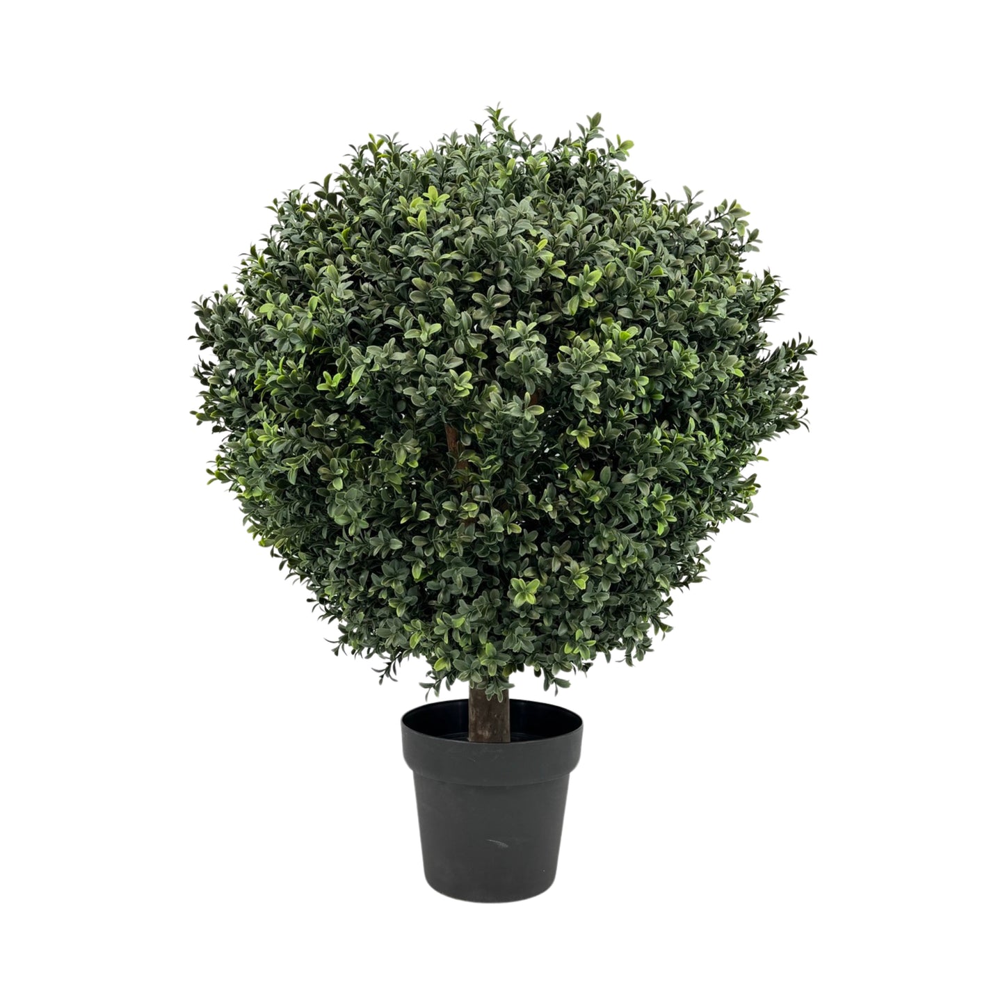 UVT1013 BOXWOOD TOPIARYx1(UV),D24x30inH-1P