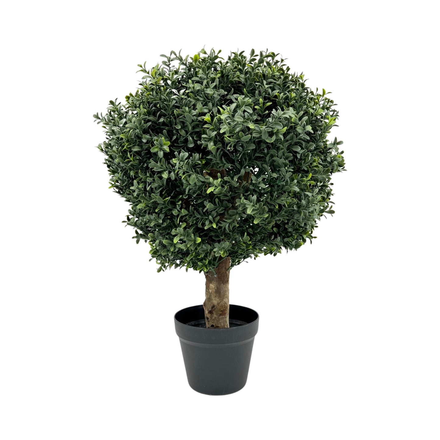 UVT1014 BOXWOOD TOPIARYx1(UV),D20x24inH-2P