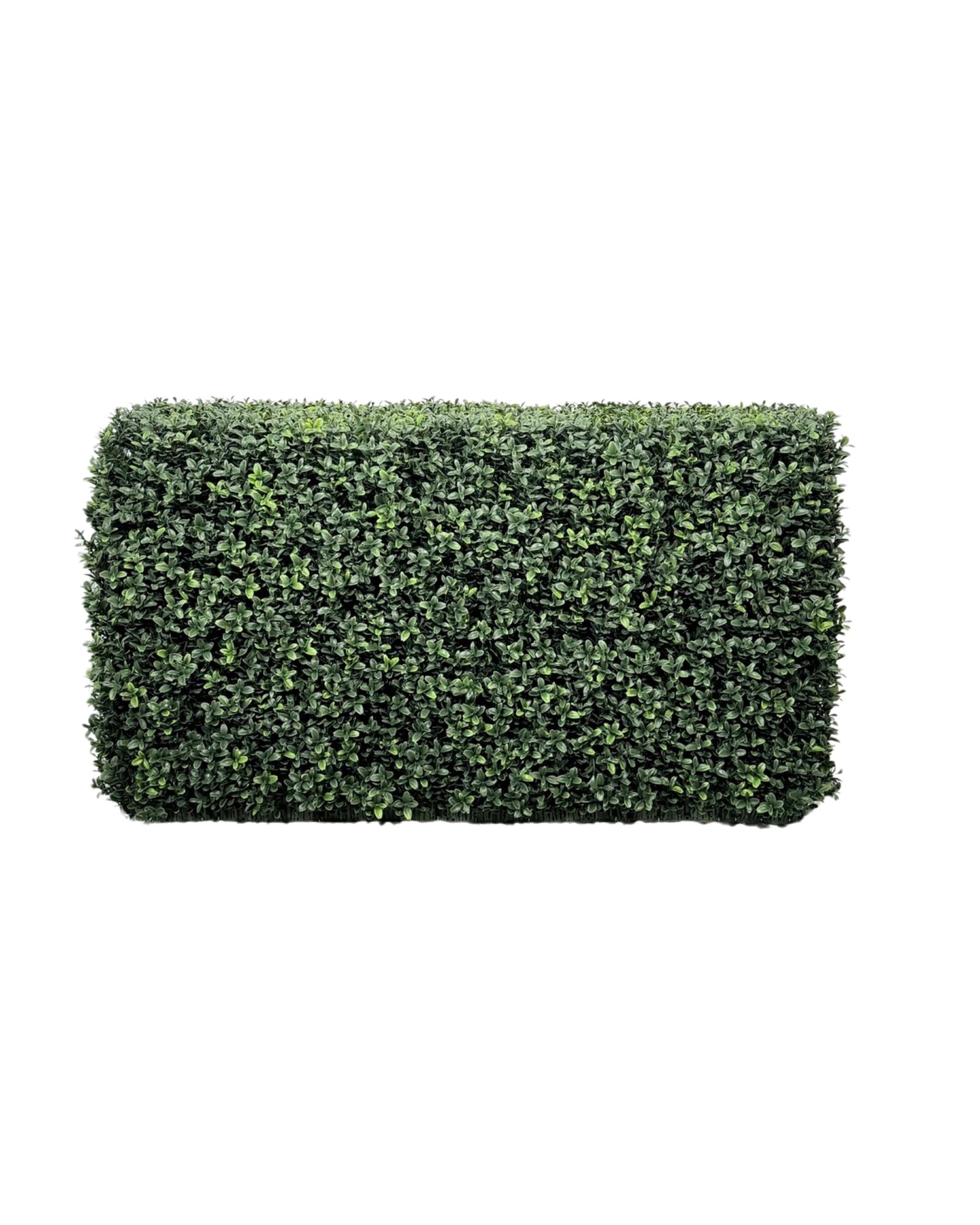 UVT1015 BOXWOOD HEDGE(UV),35x14x20inH-2P