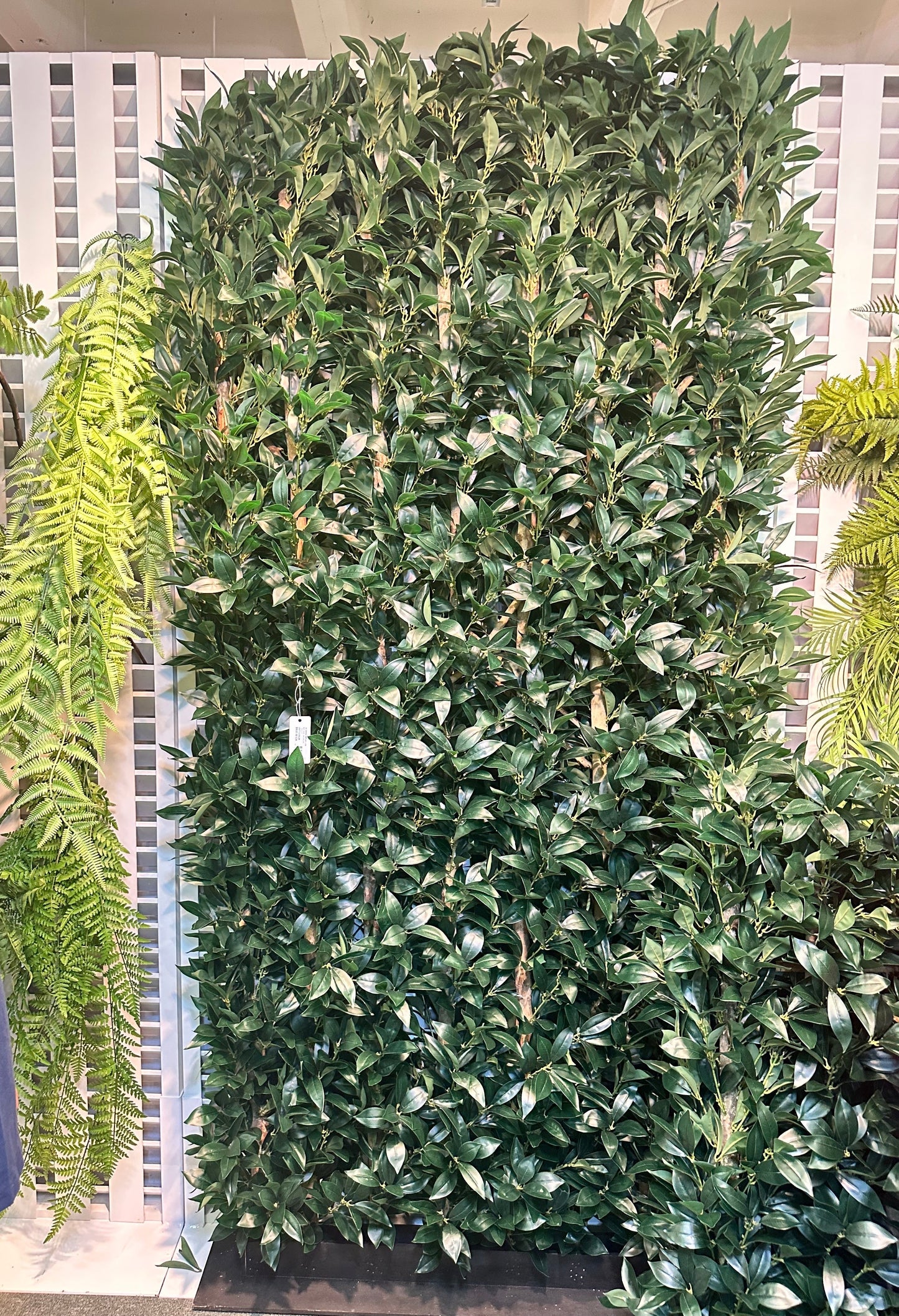UVT1025 BAY LEAF HEDGE (UV) 8'x4'x12"