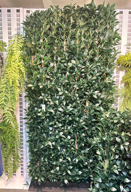 UVT1025 BAY LEAF HEDGE (UV) 8'x4'x12"