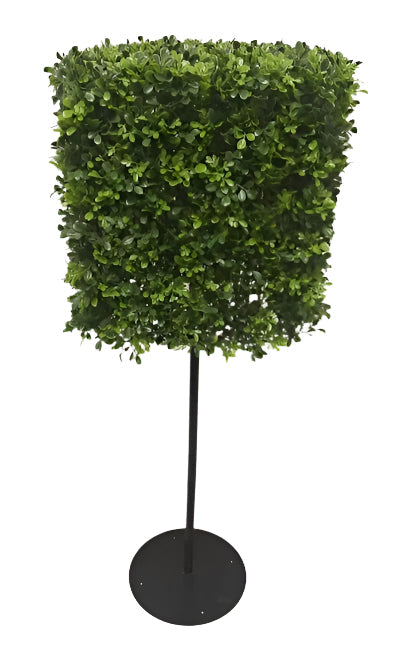 UVT1041 BOXWOOD SQUARE TREE w/STAND (UV) 18.5x18.5x49"