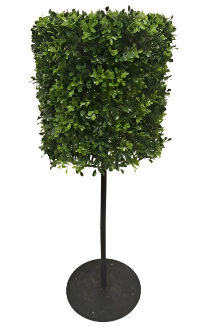 UVT1043 BOXWOOD ROUND TREE w/STAND (UV) D20.5x49.5"