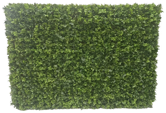 UVT1046 BOXWOOD HEDGE (UV) 64x15x44"
