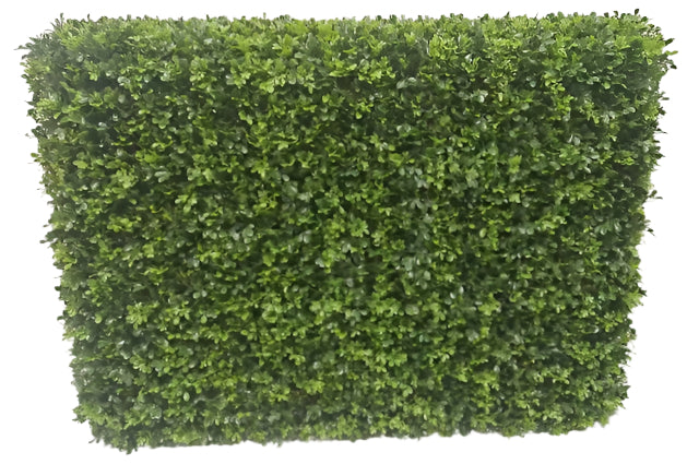 UVT1047 BOXWOOD HEDGE (UV) 51x15x35.5"