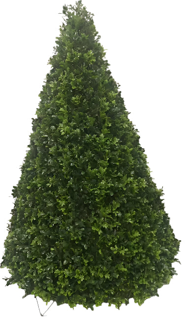 UVT1050 BOXWOOD CONE HEDGE (UV) D32.5x45"