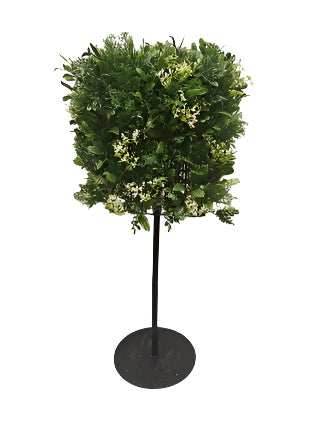 UVT1052 JASMINE SQUARE TREE w/STAND (UV) 18.5x18.5x40"