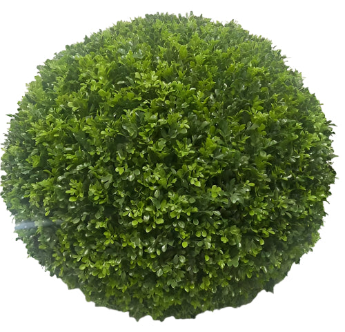 UVT1061 BOXWOOD BALL (UV) D39.5"