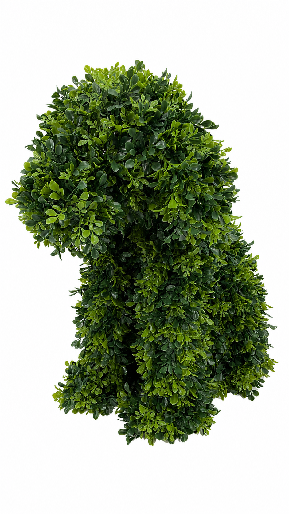 UVT1086 BOXWOOD IN PUPPY SHAPE (UV),24.5"