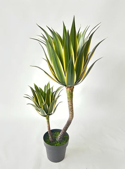 UVT1108 POTTED AGAVE (UV),37"