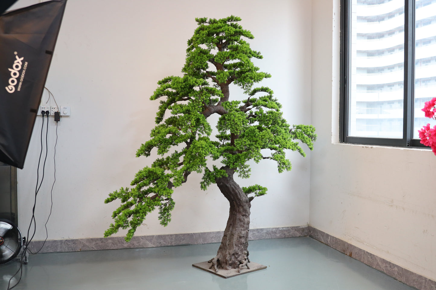 UVT1122 CEDAR BONSAI (UV),6'