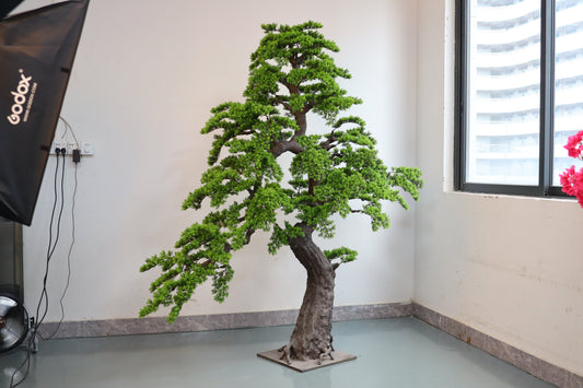 UVT1122 CEDAR BONSAI (UV),6'