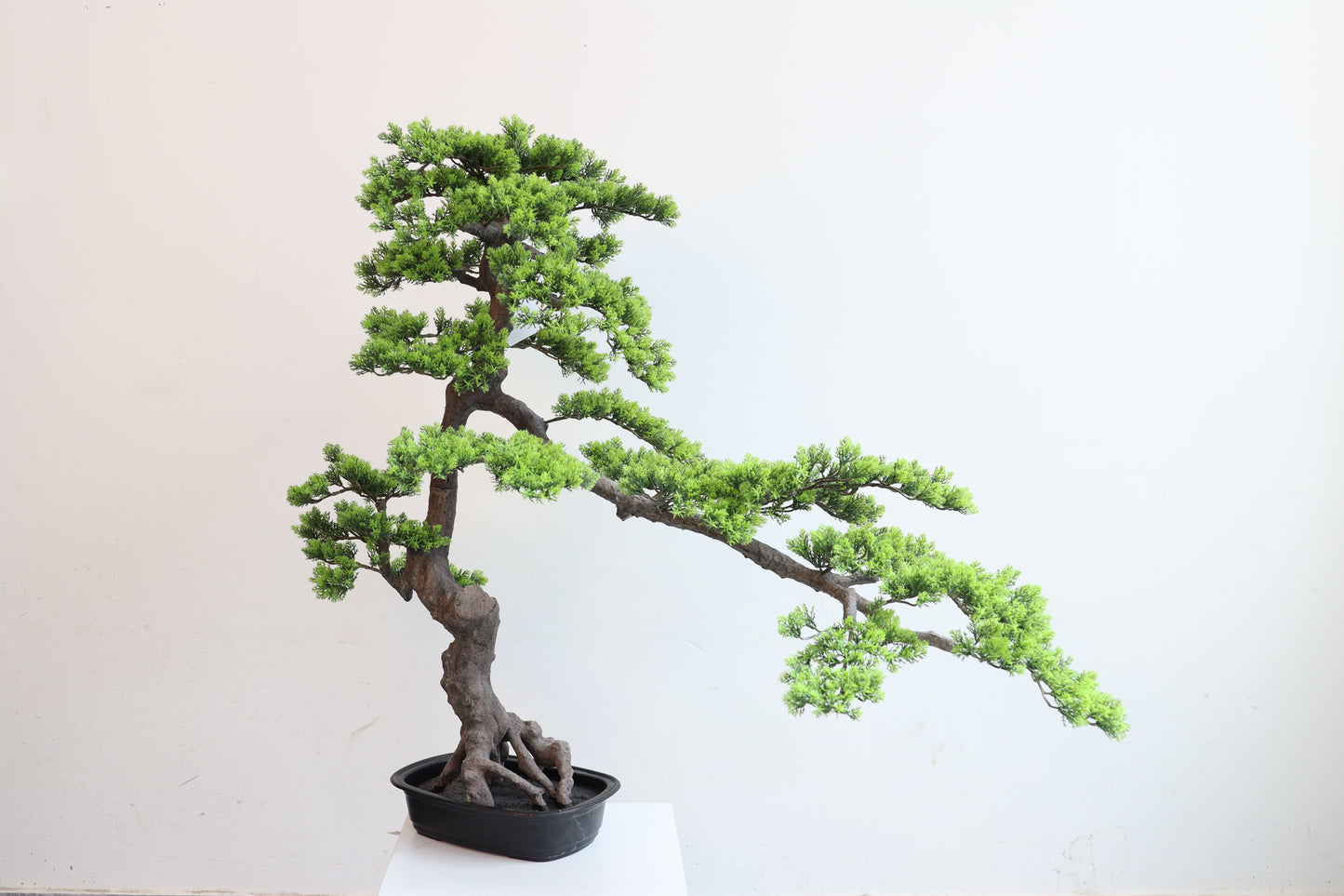 UVT1124 CEDAR BONSAI (UV),38"