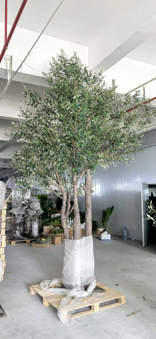 UVT1126 OLIVE TREE (UV),13'