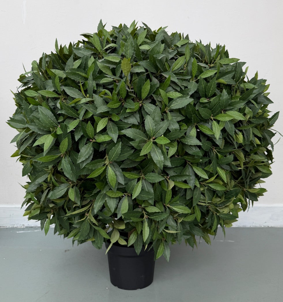 UVT1133 POTTED ITALIAN LAUREL BALL (UV)  D40"