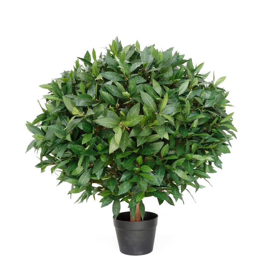 UVT1134 POTTED ITALIAN LAUREL BALL (UV)  D30"