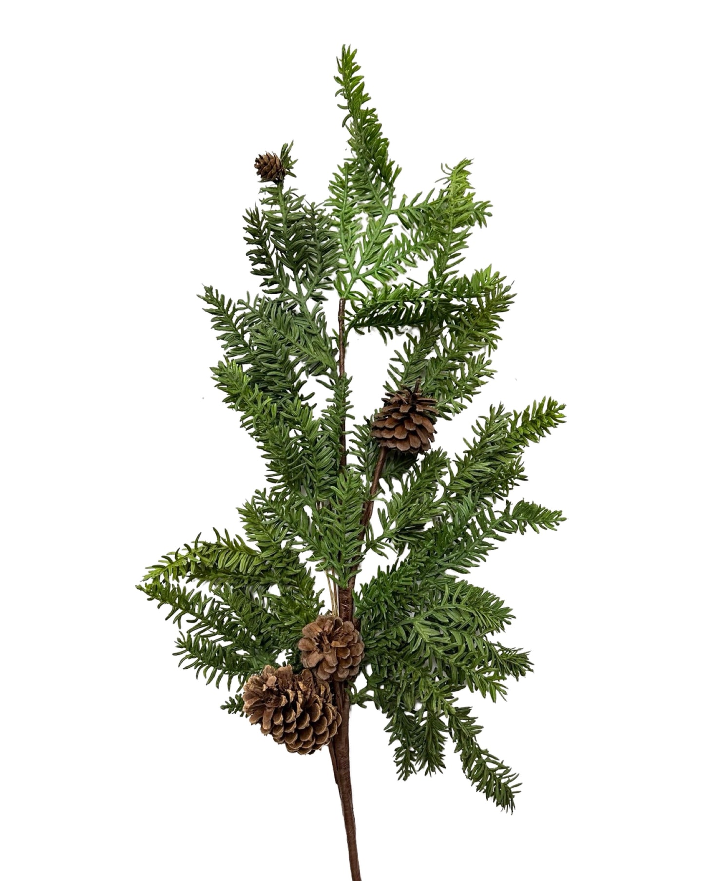 XM11793 PINE/PINECONE SPRAY,40in-6P/54/8.96