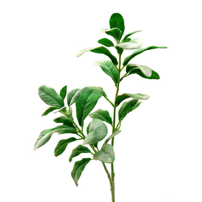 XM11902 FROSTED LEMON LVS SP,28in-24P/240