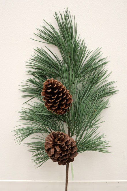 XM12124 NEEDLE PINE SPRAY w/PCONE,37in-6P