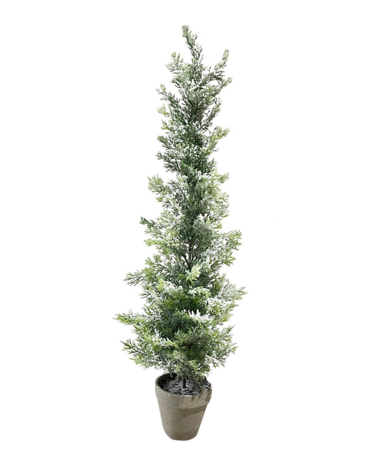 XM12143 CEDAR TREE w/SNOW,36in-2P/12/8.3'