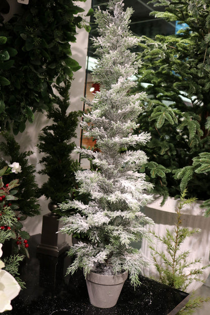 XM12143 CEDAR TREE w/SNOW,36in-2P/12/8.3'