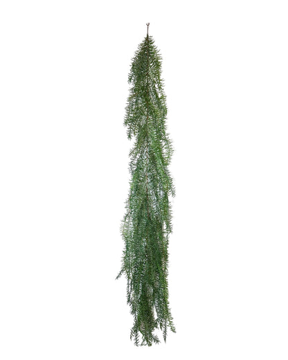 XM12434 ASPARAGUS WEEPING GARLAND,6'-3P/18