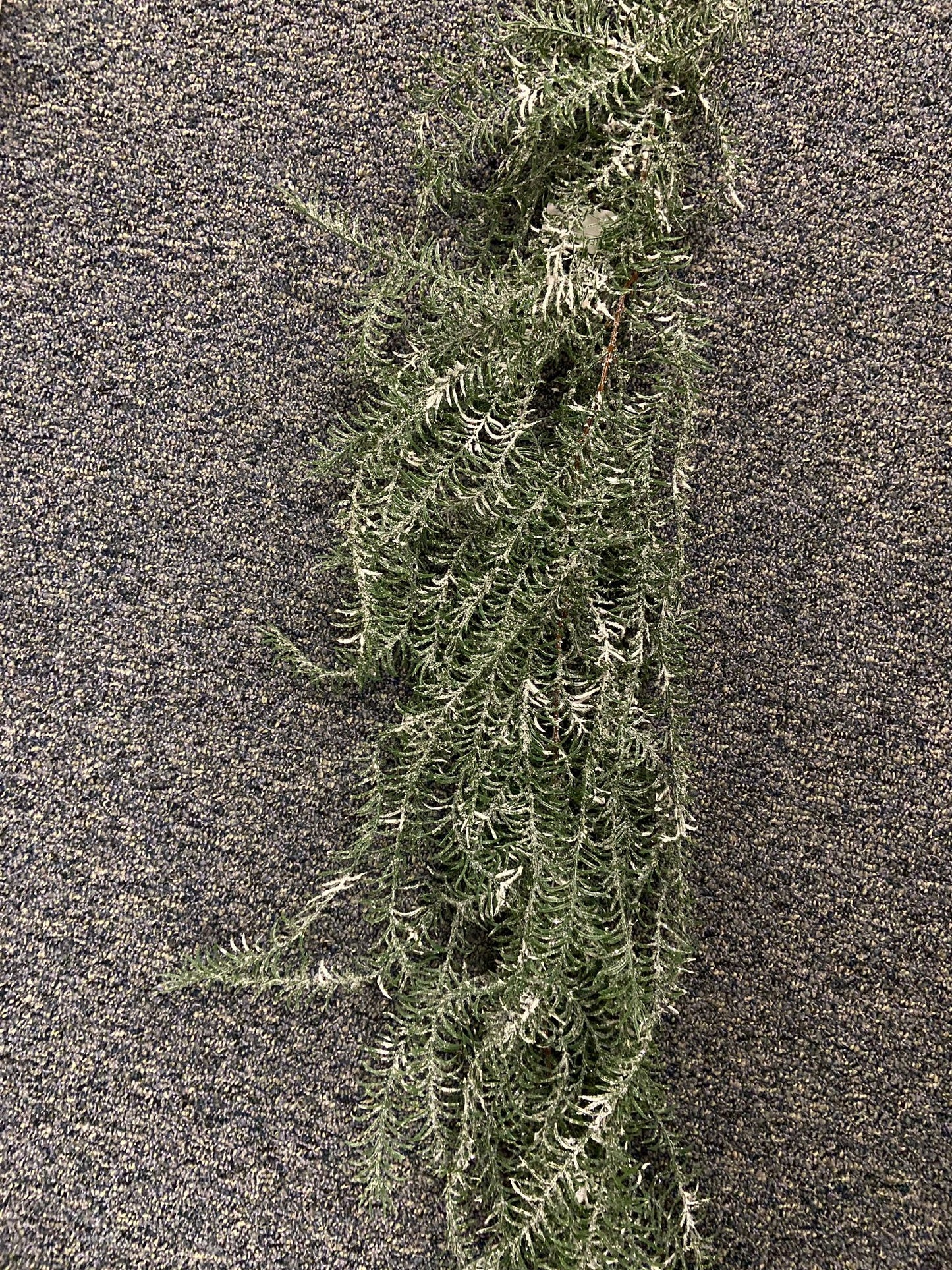 XM12439 ASPARAGUS WEEPING GARLAND w/SNOW,6'