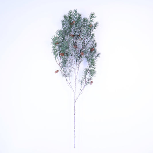 XM12589 LONG PINE/PINECONE WEEPING SP,36in