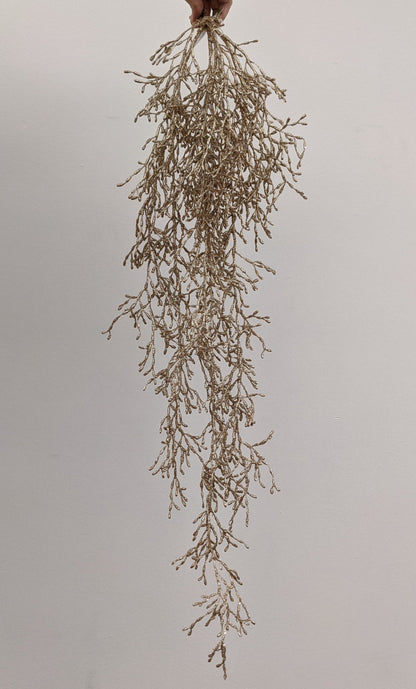 XM13261 GLT WEEPING GLASSWORT,37.5in-12/72P